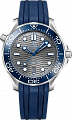 Omega Seamaster Diver 300m  OM21032422006001