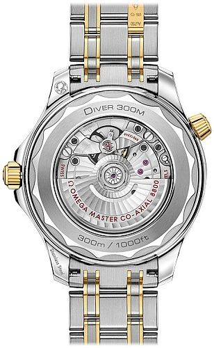 Omega Seamaster Diver 300m  OM21020422003001